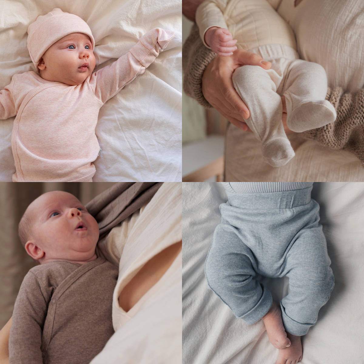 BLOG - fotka v článku - 2025-06-06T113232.008